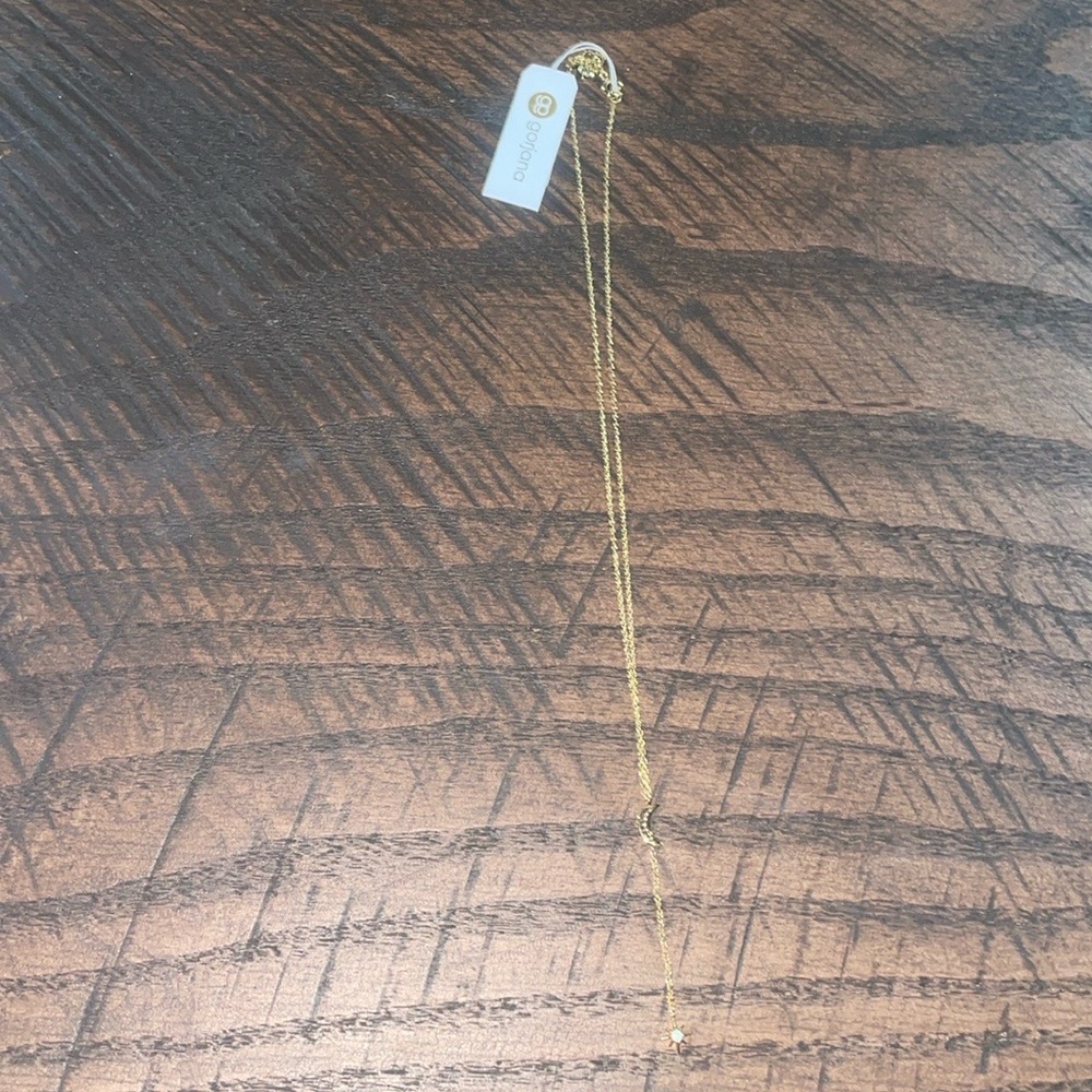 Gorjana necklace